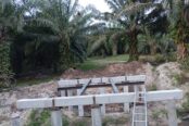 bina jambatan